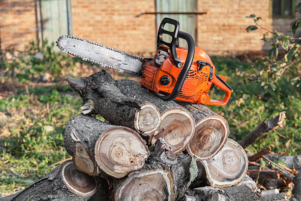 Tree Service Company in Mauldin, SC